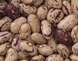 Dried Cranberry Beans