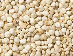 White Quinoa