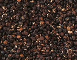 Black Quinoa